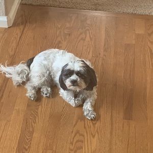 Meet your Posher, Val